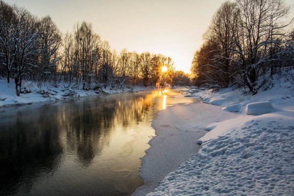 Меркушино природа