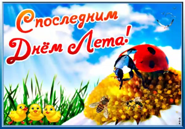 Открытки о последнем дне лета