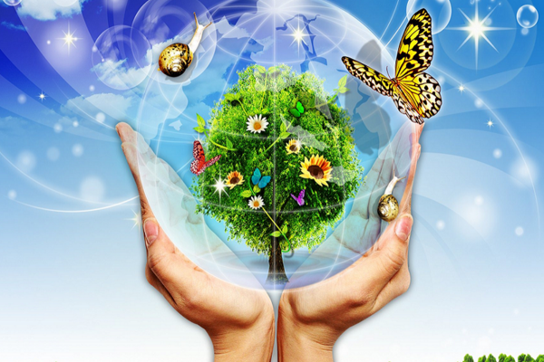 Наш общий дом земля