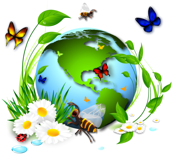 Экологическое воспитание