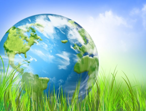 Фон для презентации по экологии