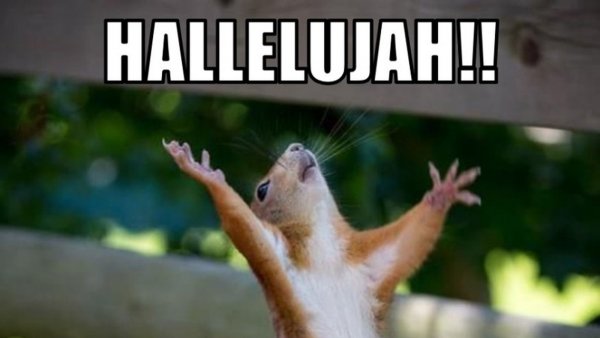 Отпуск наконец то