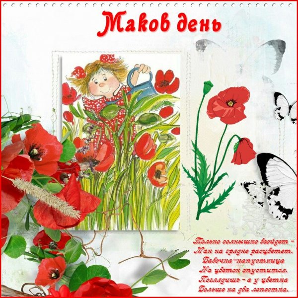 Пожелания с маками