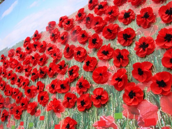 Июльский Мак