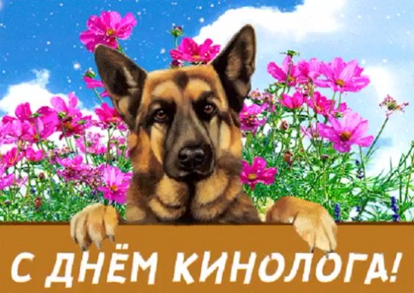 День кинолога