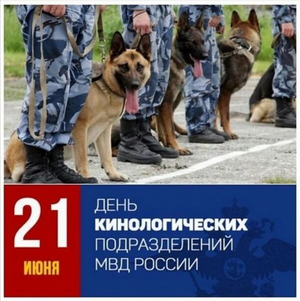 День кинологических подразделений МВД России (день кинолога)
