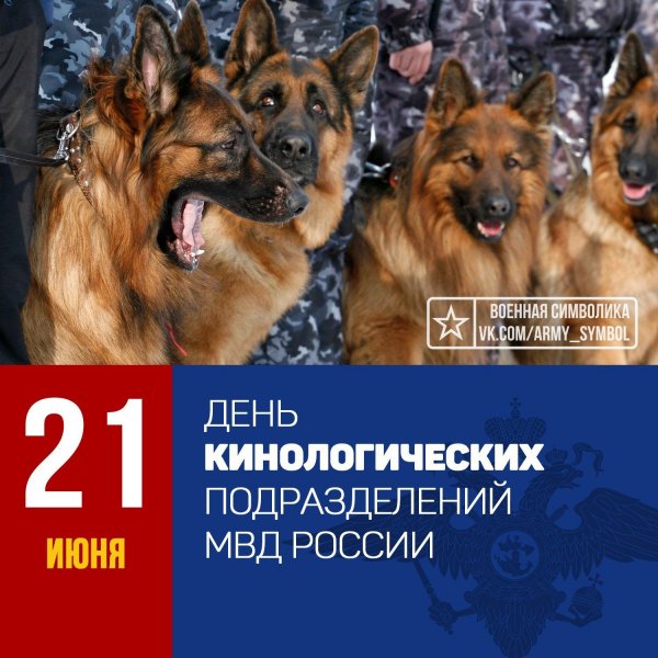 21 Июня день кинологических подразделений МВД России