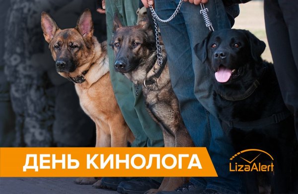 День кинолога