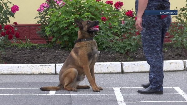 Открытки с днем рождения хендлеру