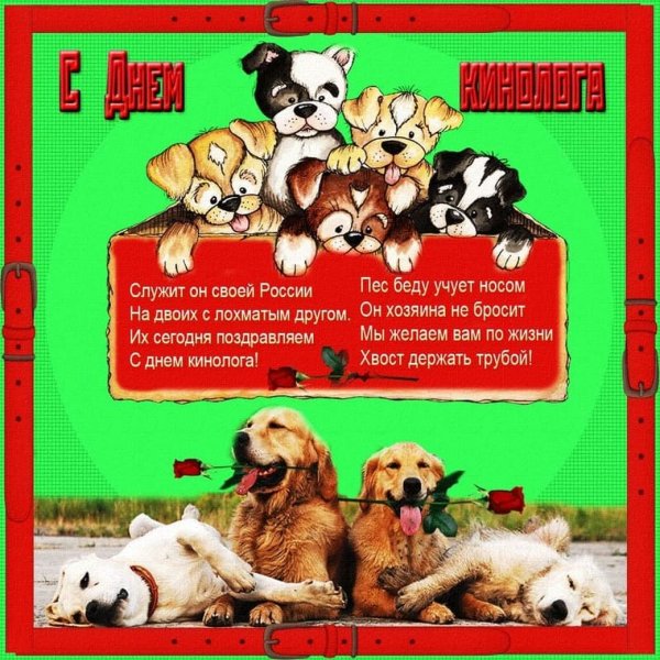 Девиз кинологов