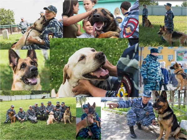 День кинолога в России 2021