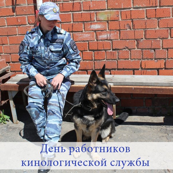 День кинолога в России фото