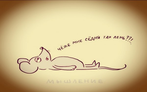 Мне лень картинки