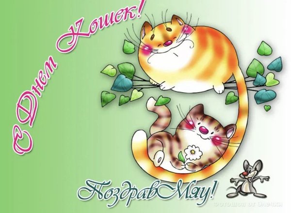 Открытки с днём кошек