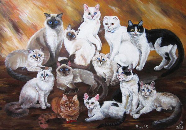 Праздник тринадцатой кошки