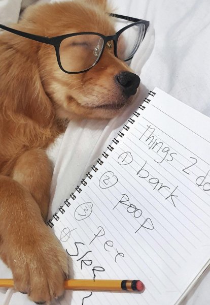 План на день юмор