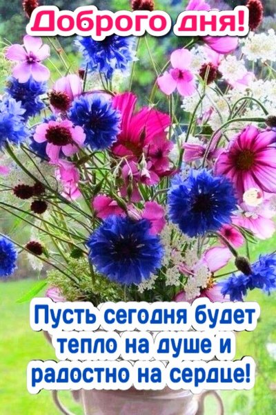 Пусть сегодня все будет хорошо