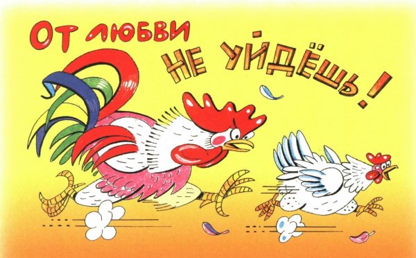 Смешные картинки про любовь