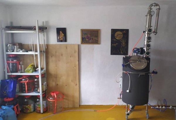 Витамин це винце сальце