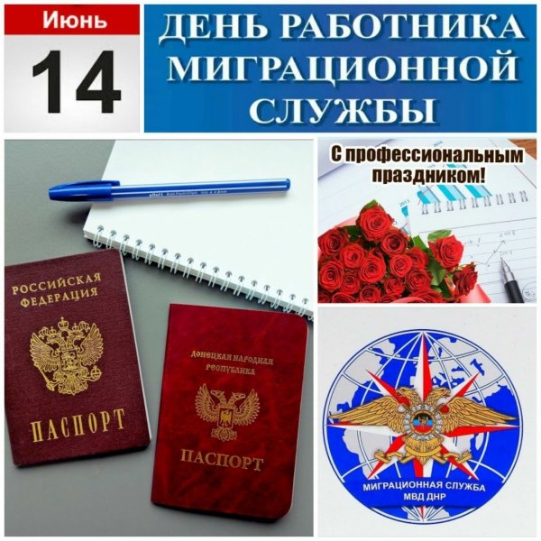 День работника миграционной службы России