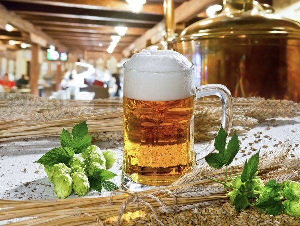 День пива и пивовара в России