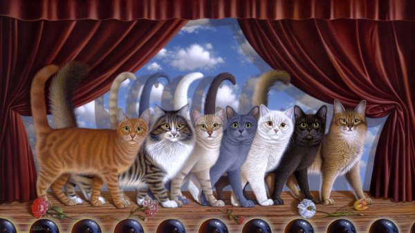 Фотообои кошки