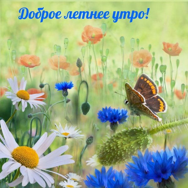 Божья красота