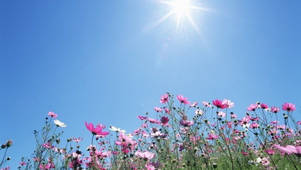 Солнечное небо