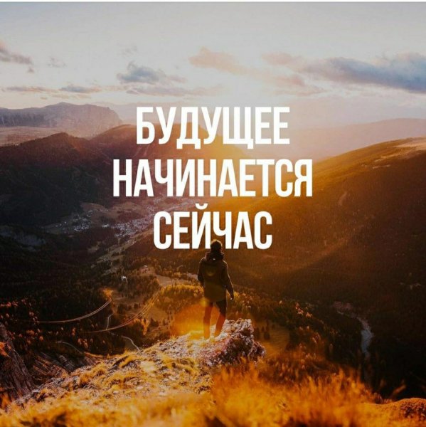 Демотивирующие цитаты