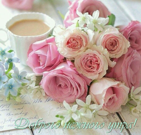 Нежный цветок