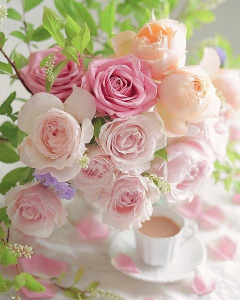 Доброе утро света