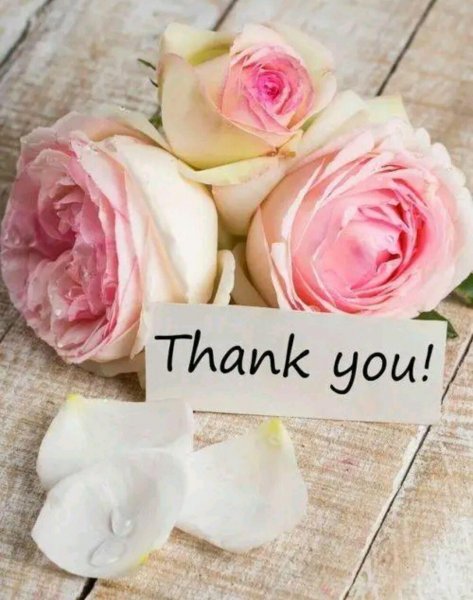 Самые красивые и нежные открытки