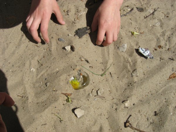 Секретики в песке