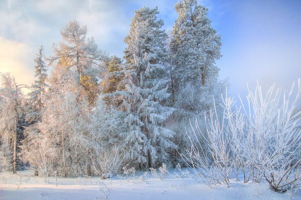 Морозная зима