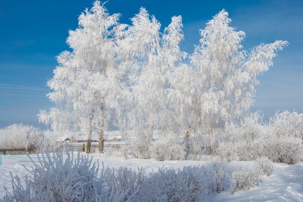 Мороз и солнце