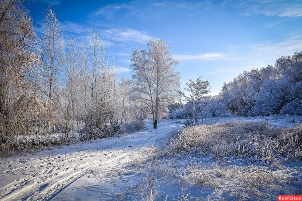 Ясный зимний день