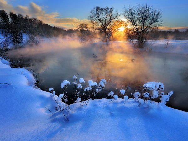 Морозный день