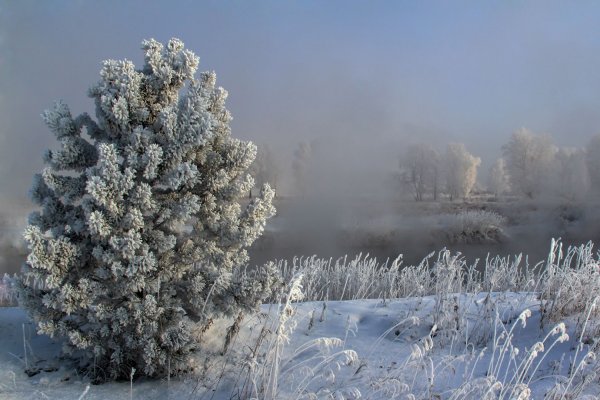 Фотоконкурс Зимушка зима