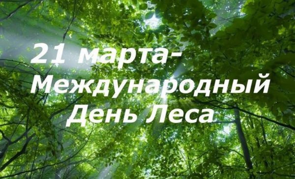 21 Марта Международный день лесов