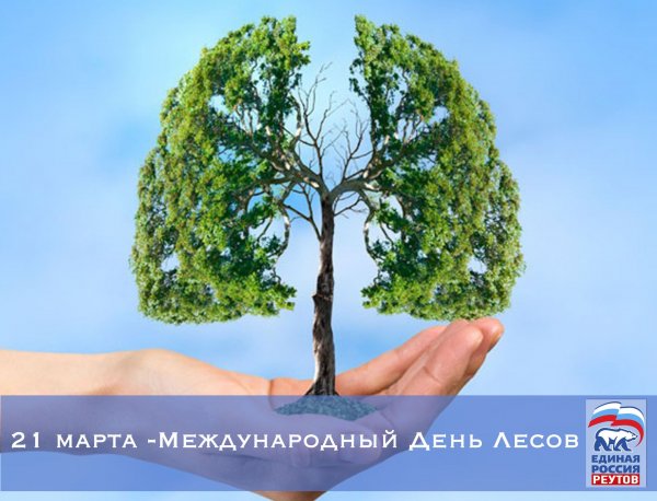 Международный день лесов