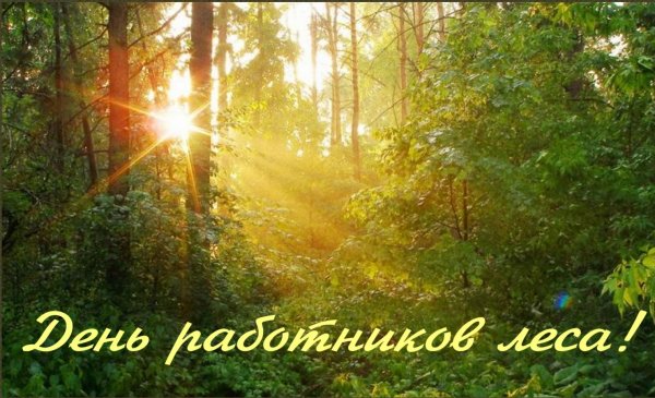 20 Сентября день леса