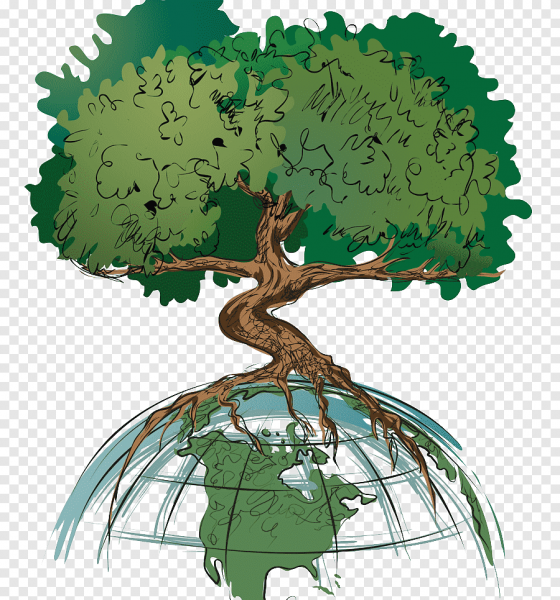 Дерево экология