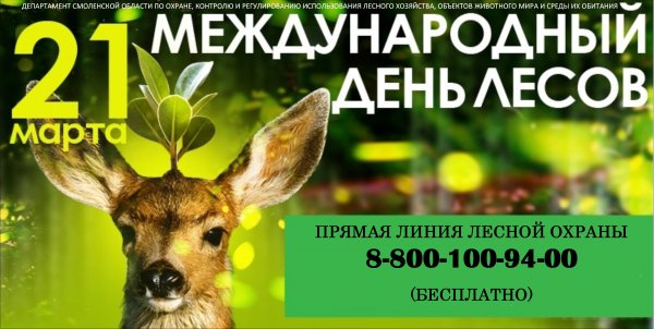 Всемирный день леса