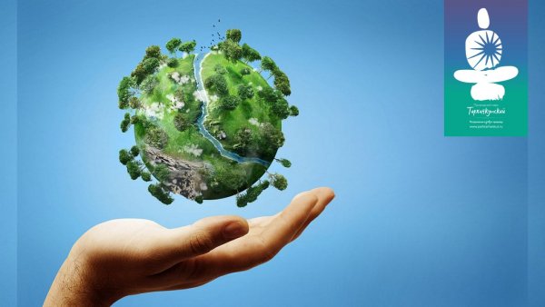 Чистая Планета