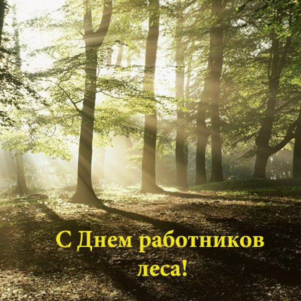 С праздником работников лесного хозяйства