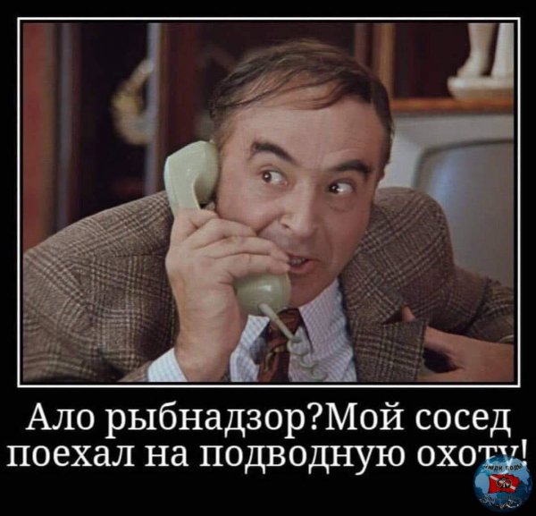 Алло это Мем с пингвином