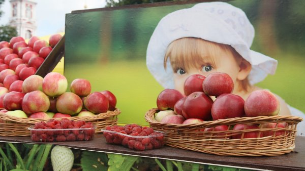 День садовода