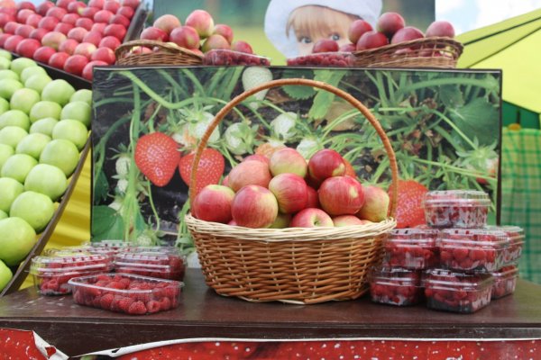 Садоводы и огородники