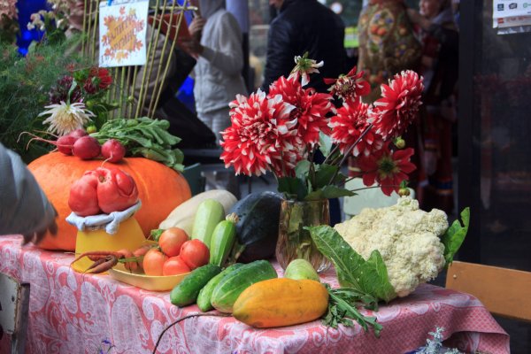 День садовода Мичуринск