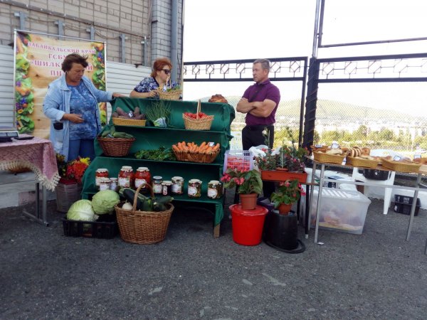 Выставка день садовода 2019
